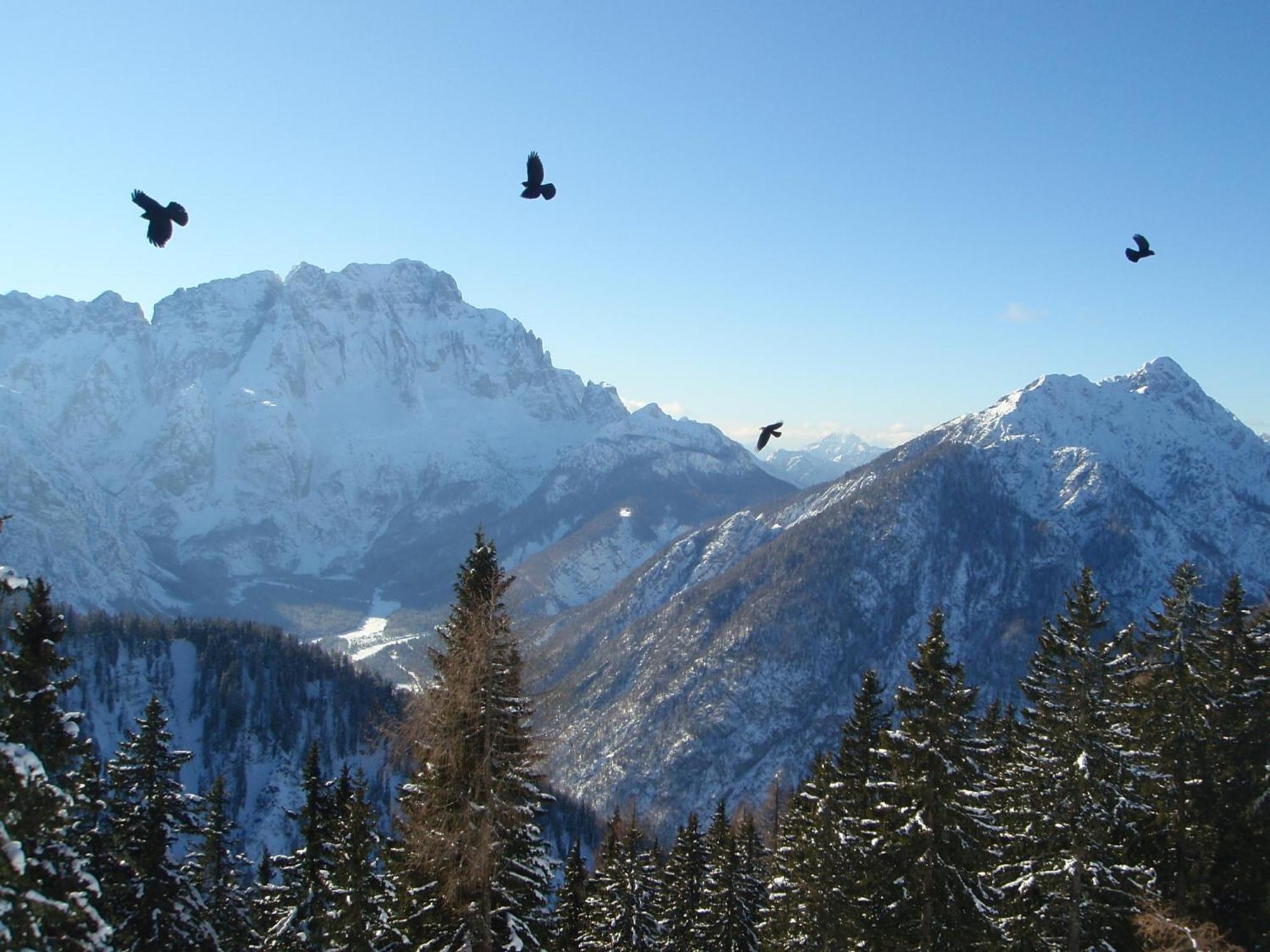 Tempfer 2 Apartments & Rooms With New Wellness Kranjska Gora Exterior foto
