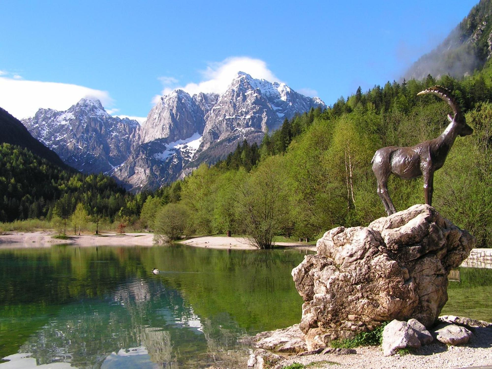 Tempfer 2 Apartments & Rooms With New Wellness Kranjska Gora Exterior foto