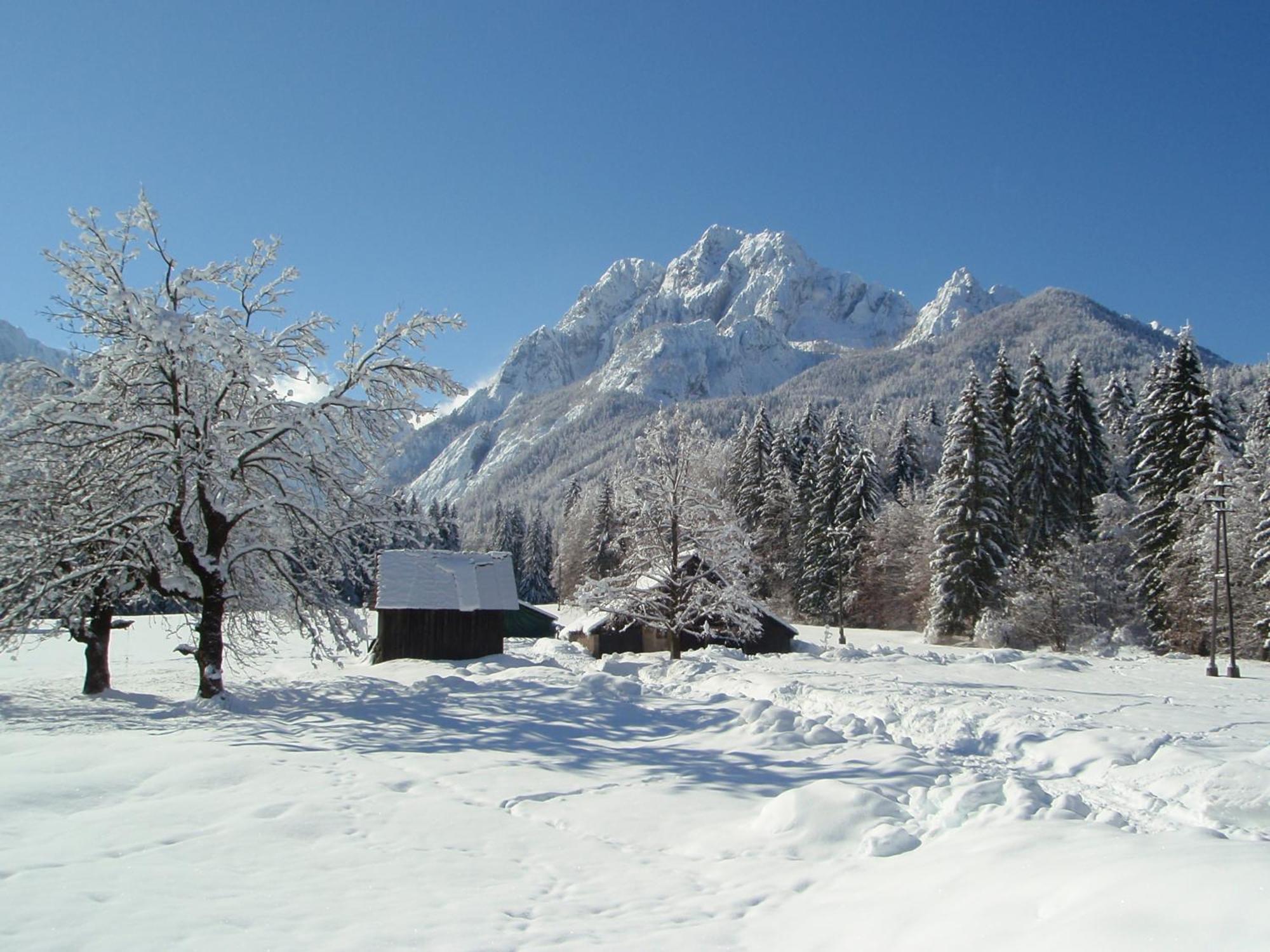 Tempfer 2 Apartments & Rooms With New Wellness Kranjska Gora Exterior foto