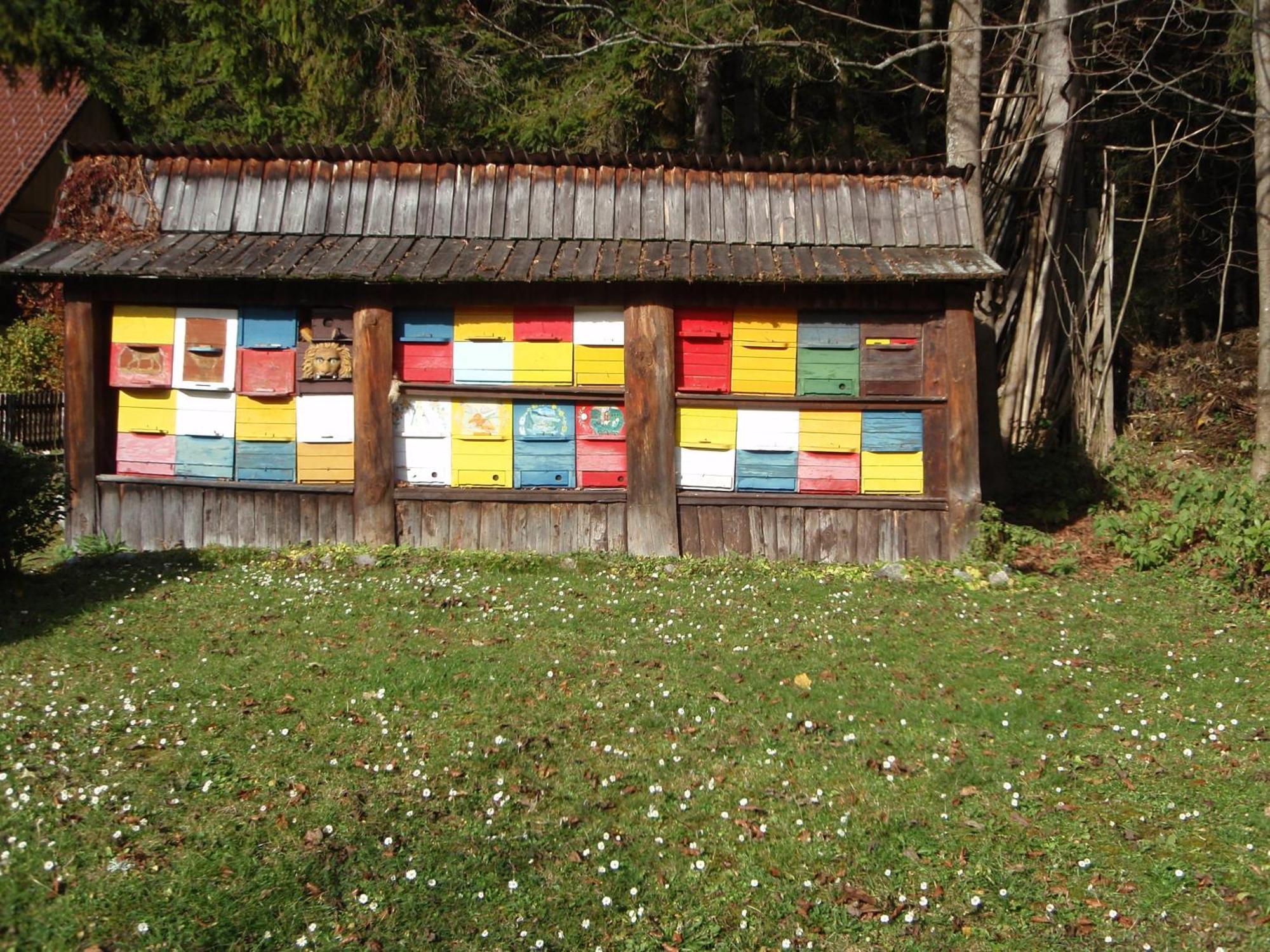 Tempfer 2 Apartments & Rooms With New Wellness Kranjska Gora Exterior foto