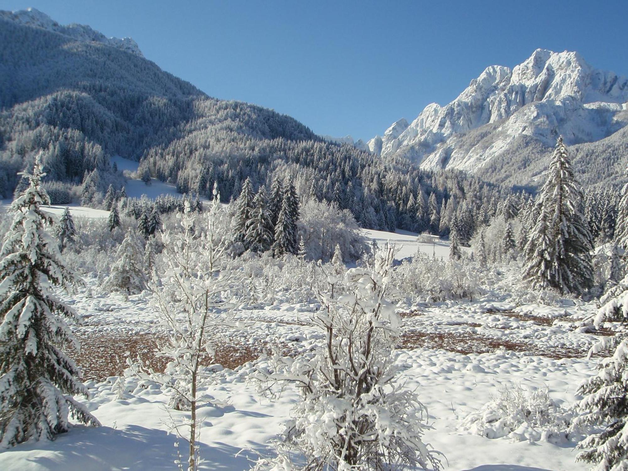 Tempfer 2 Apartments & Rooms With New Wellness Kranjska Gora Exterior foto